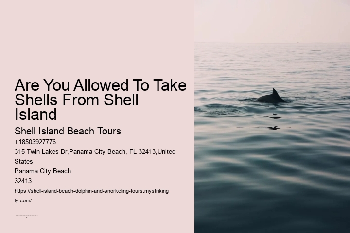 Are You Allowed To Take Shells From Shell Island