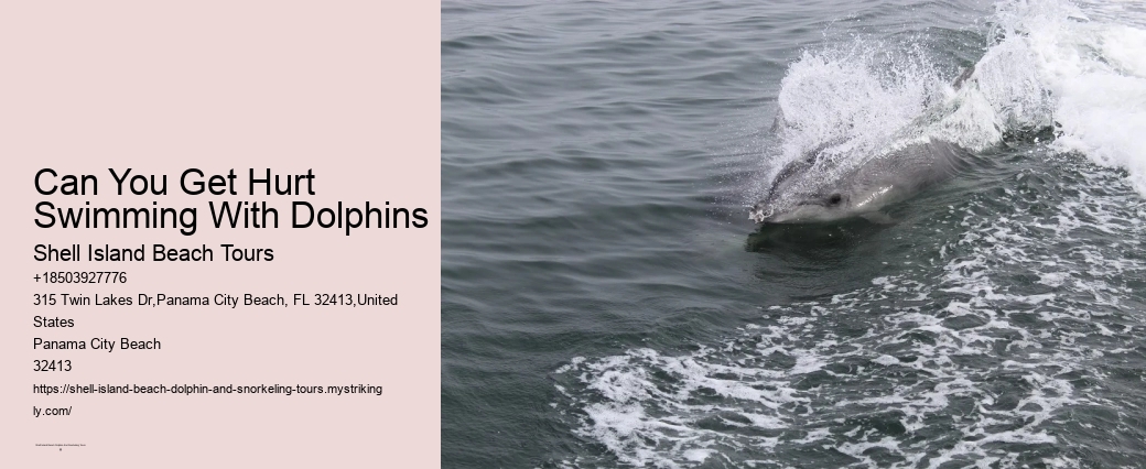 Dolphin Tranquility Tours