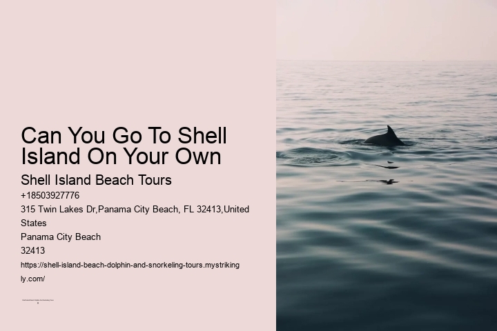 Can You Go To Shell Island On Your Own