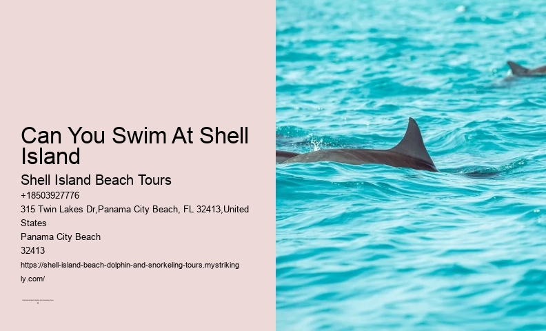 Can You Pick Up A Beached Dolphin