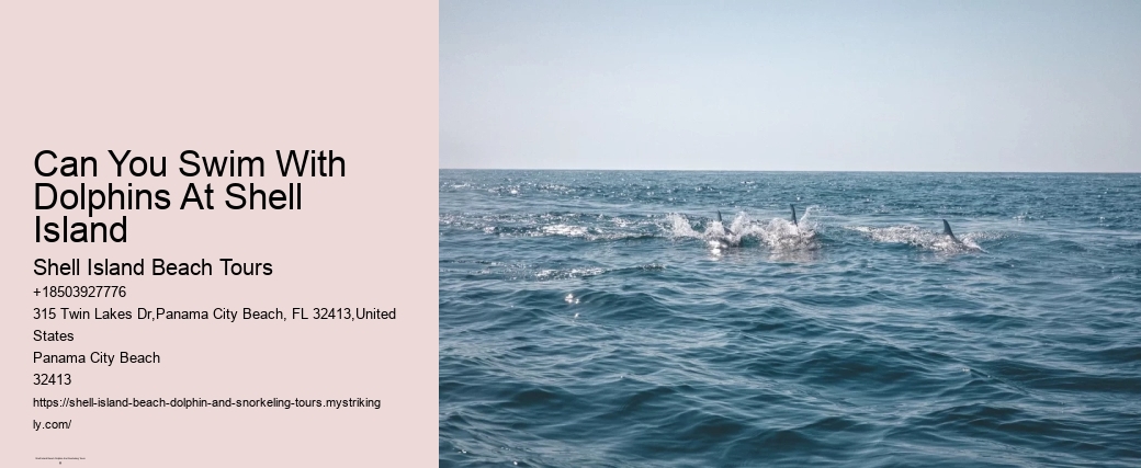 Can You Swim At Shell Island