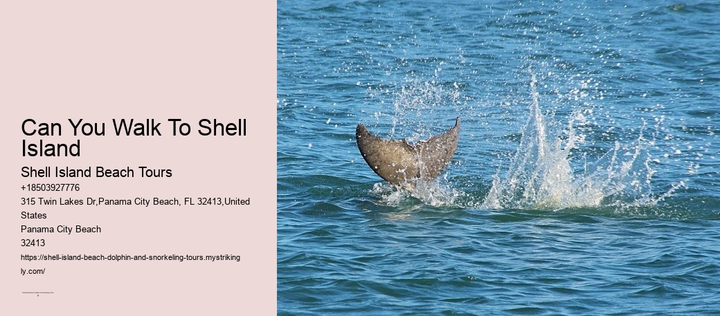 Can You Walk To Shell Island