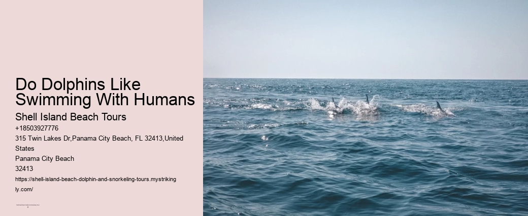 Do Dolphins Like Swimming With Humans