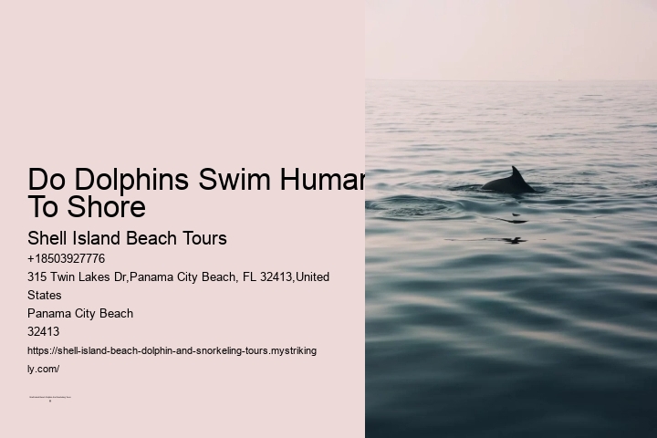 Do Dolphins Swim Humans To Shore