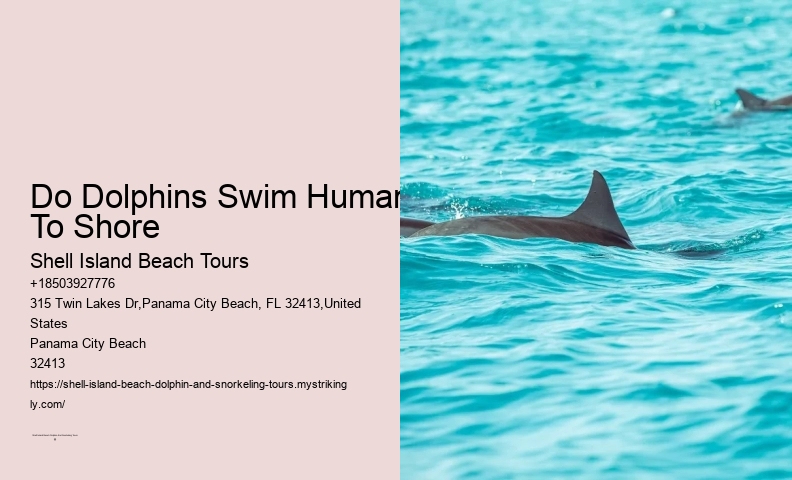 Can You Go To Shell Island On Your Own