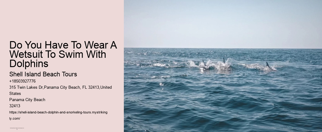 Do You Have To Wear A Wetsuit To Swim With Dolphins