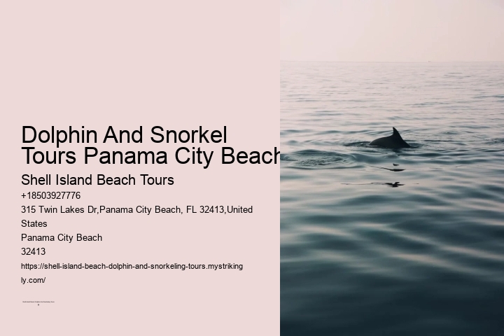 Dolphin And Snorkel Tours Panama City Beach