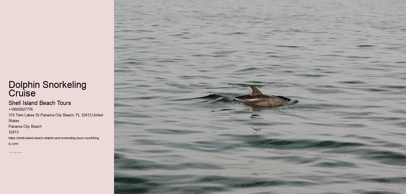Dolphin Snorkeling Cruise