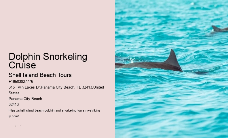 18 Best Places To Swim With Dolphins