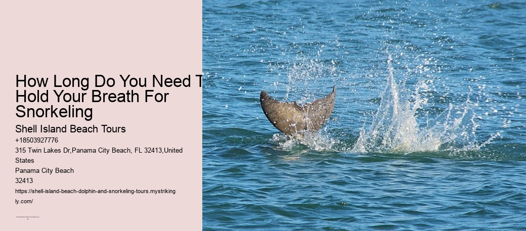 Interaction With Wild Dolphins May Result In Disease Transfer