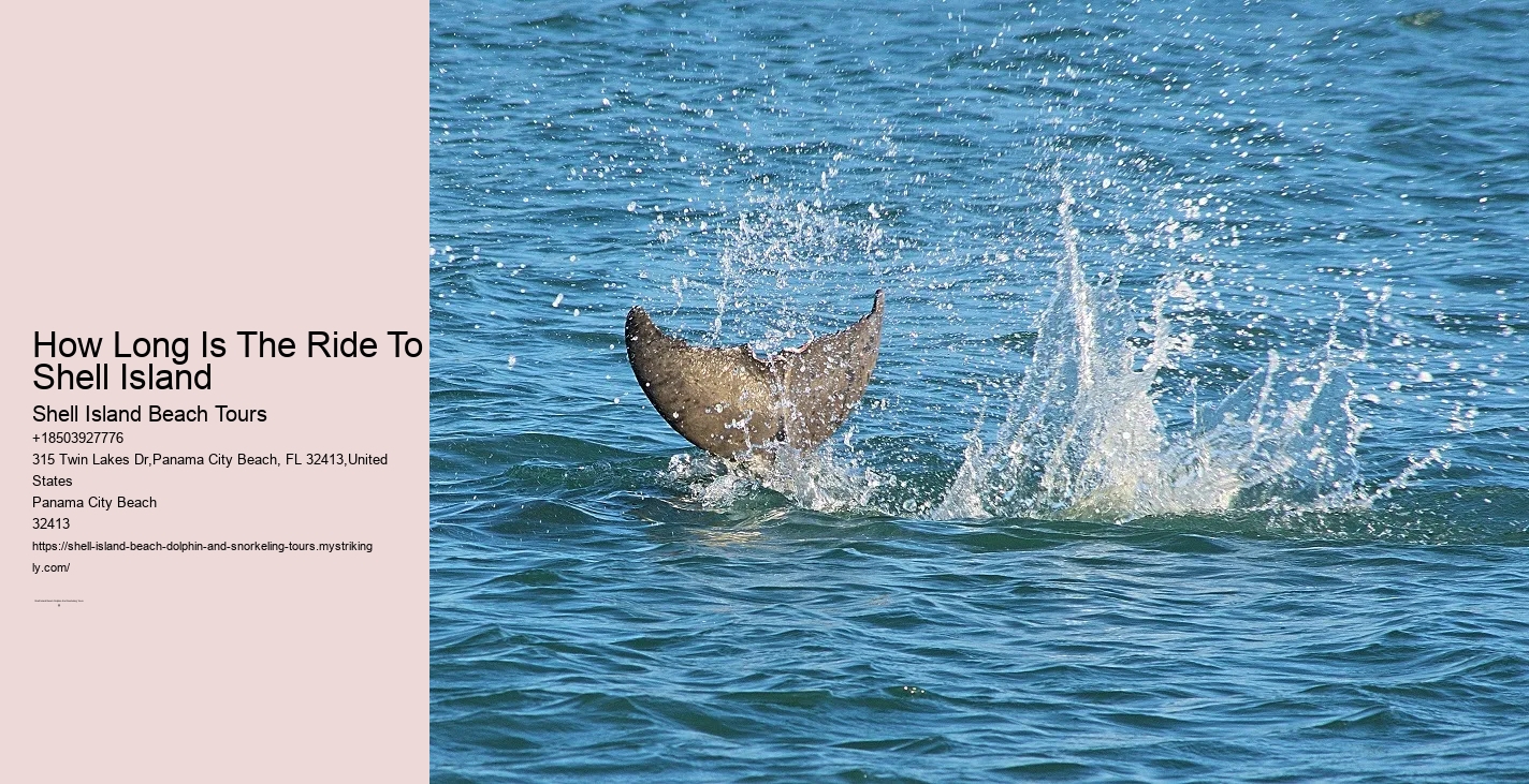 Yes, Actually Swim Shoes Are Recommended