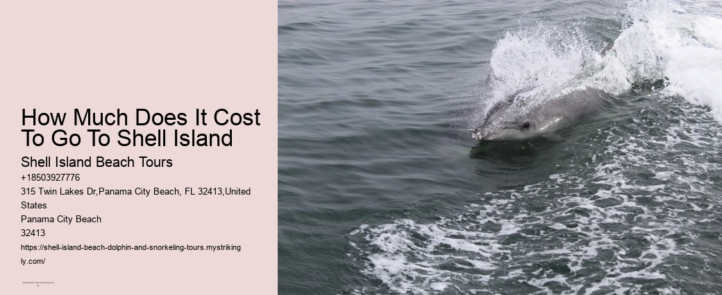 Shell Island Snorkel And Dolphin Cruise From Panama City