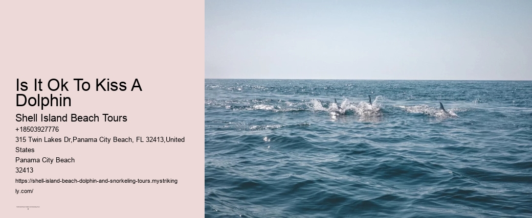 Do Dolphins Try To Protect Humans