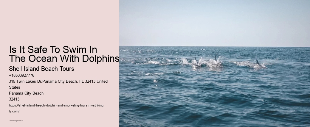 Is It Safe To Swim In The Ocean With Dolphins