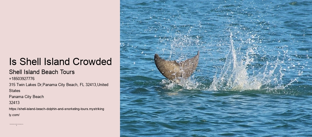 Is Shell Island Crowded