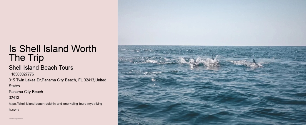 Is Shell Island Worth The Trip