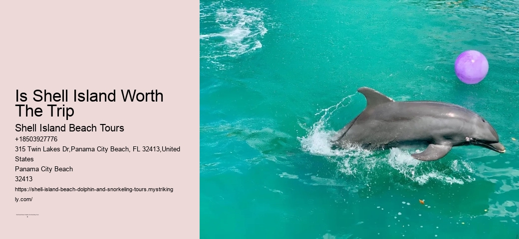 Beachcomber Odyssey Cruise