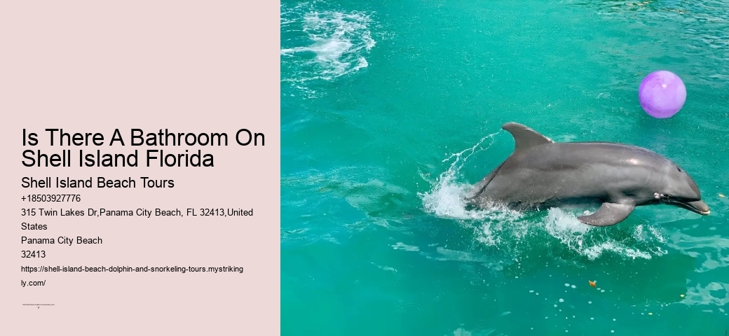 What Is Special About Shell Island