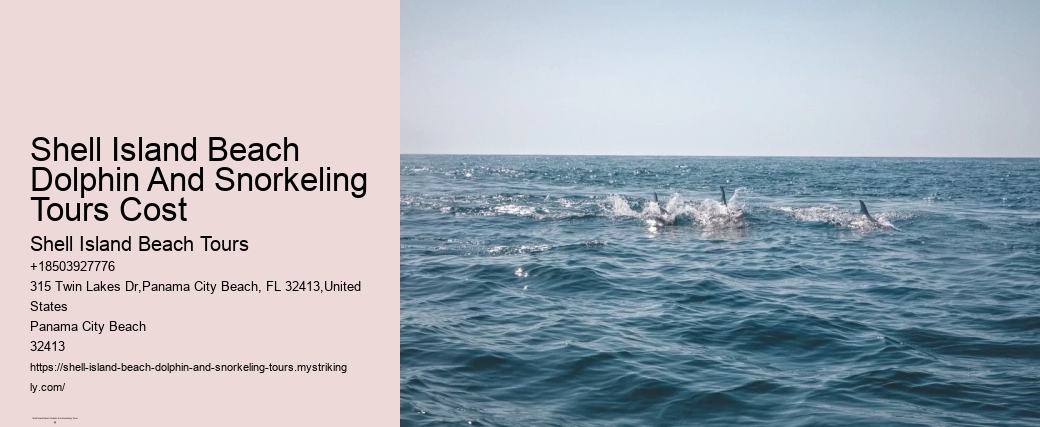 Shell Island Beach Dolphin And Snorkeling Tours Cost