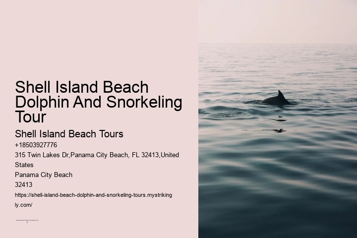 Shell Island Beach Dolphin And Snorkeling Tour