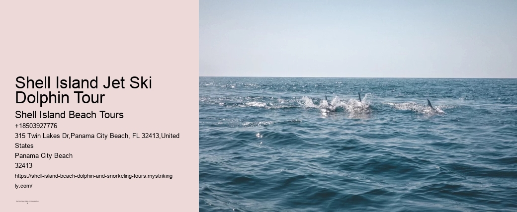 Shell Island Jet Ski Dolphin Tour