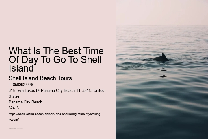 What Is The Best Time Of Day To Go To Shell Island