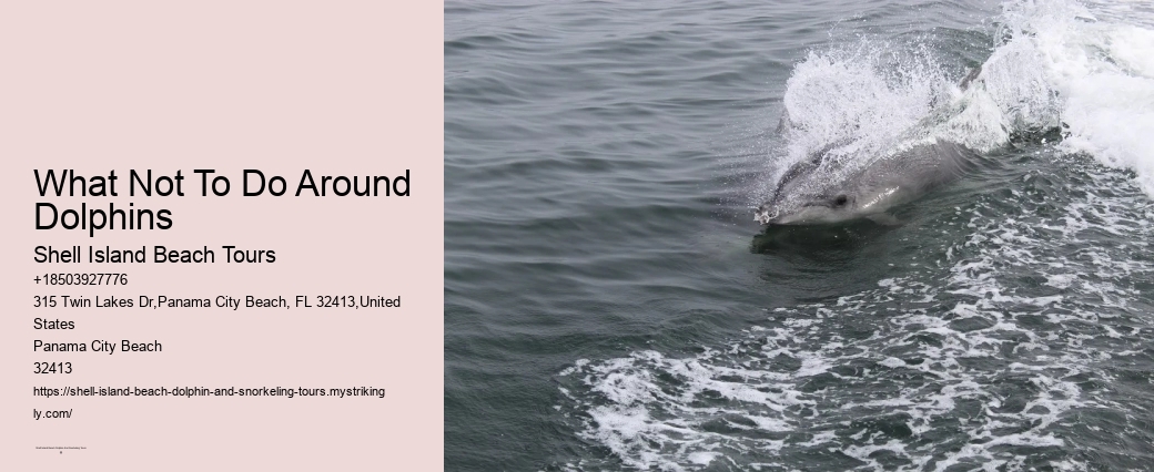 Snorkel Spectacle Cruise