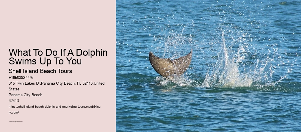 Where Is The Clearest Water For Snorkeling