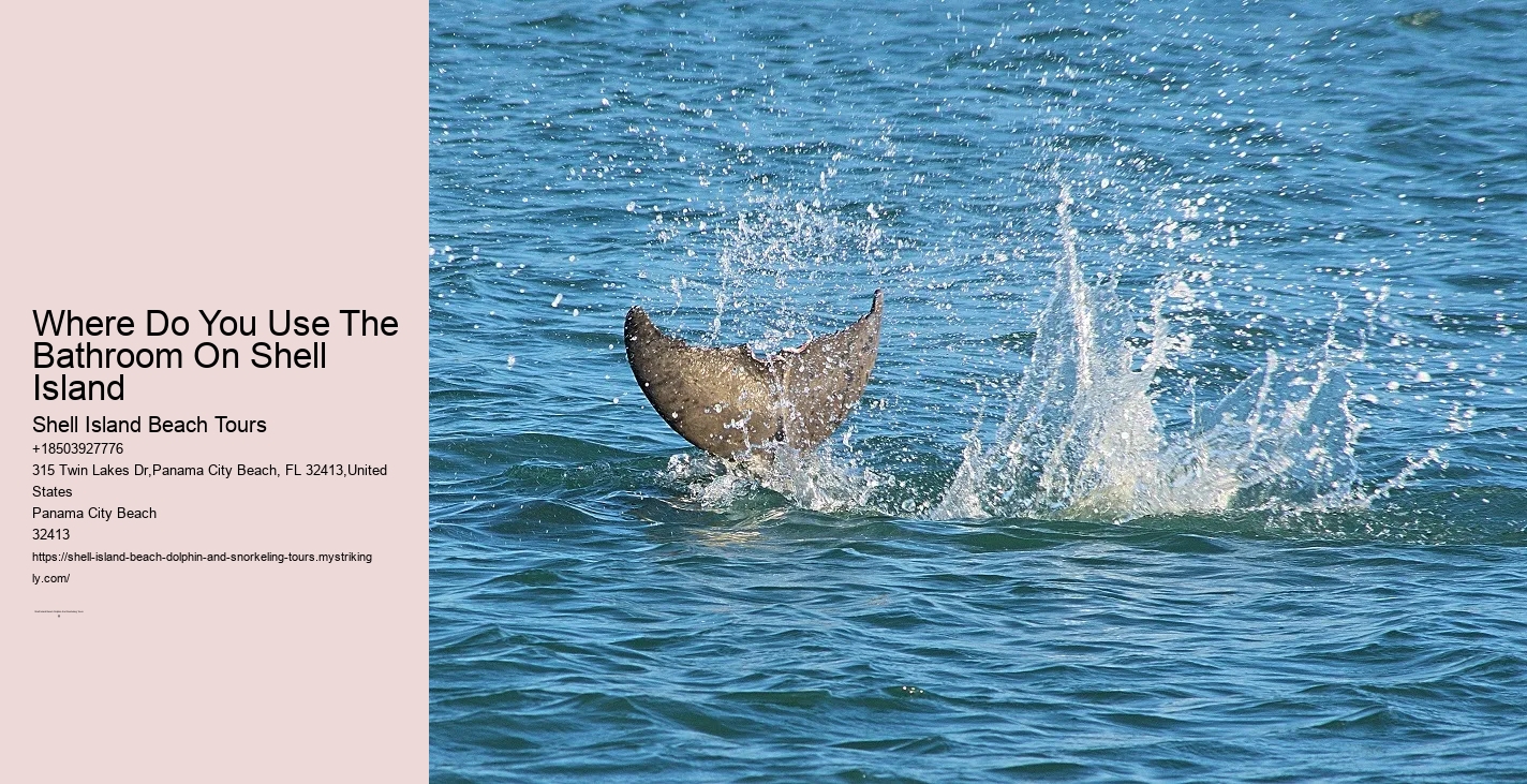 Dolphin Serenade Cruise