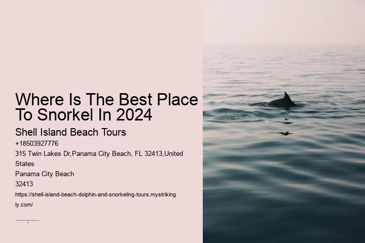 Where Is The Best Place To Snorkel In 2024