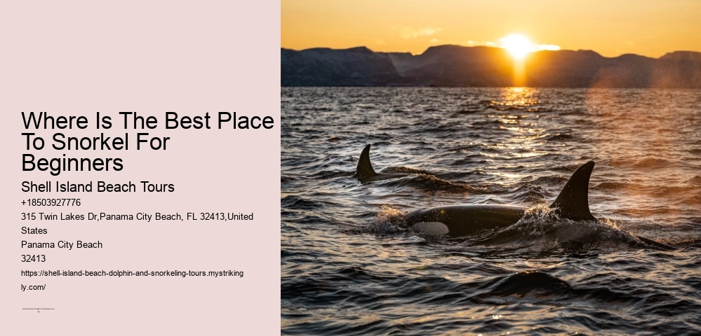 Seaside Safari Tours