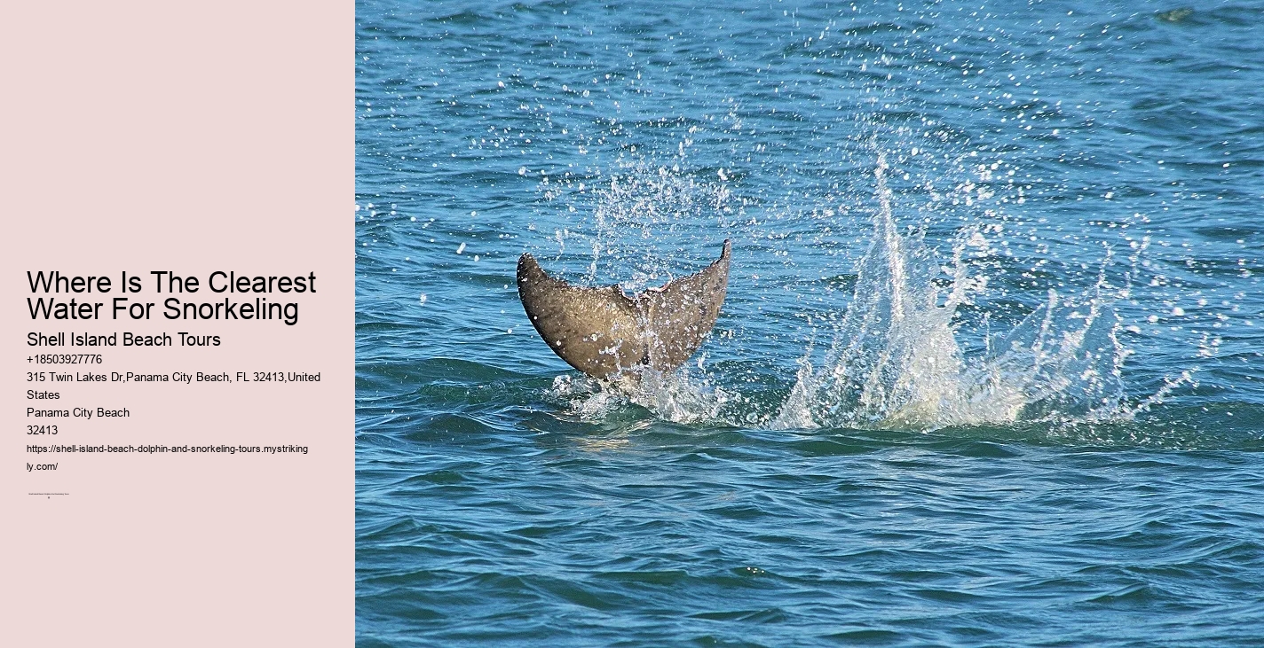 What Scares Dolphins