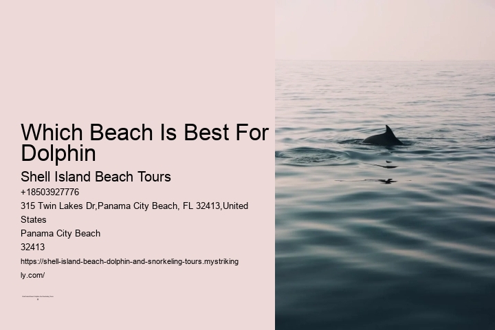 Which Beach Is Best For Dolphin