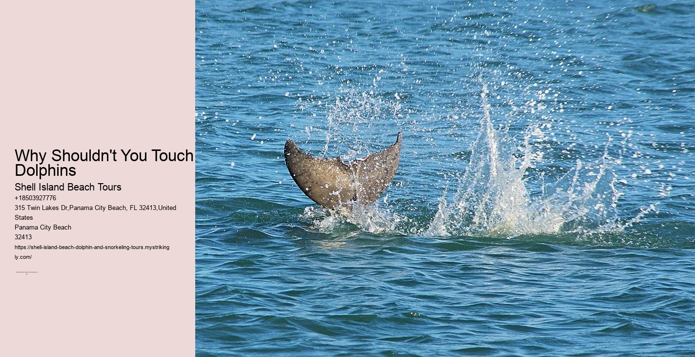 Seaside Discovery Tours